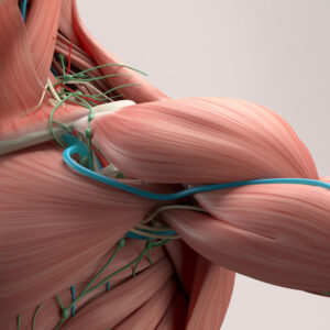When Nerve Damage Meets Muscle Dysfunction How Neuropathy and Dystonia Intersect