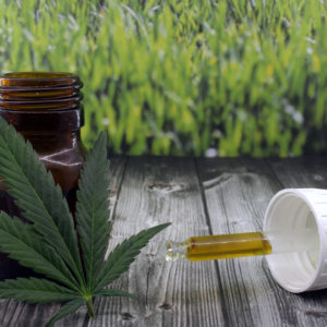 Foremost Benefits of Cannabis Oil in Medical Industry