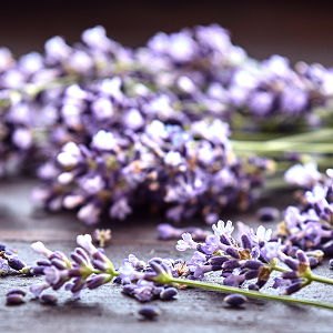 Use Essential Oil Diffusers