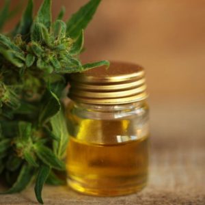 CBD study