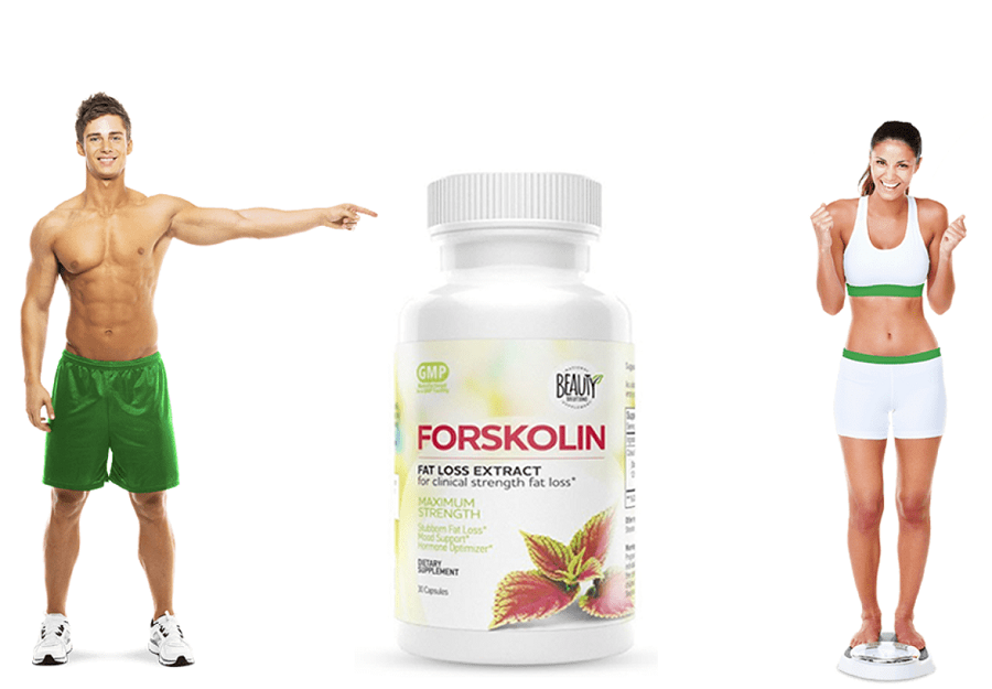 forskolin supplement