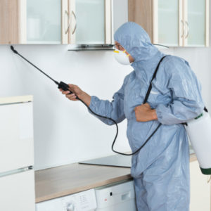 Pest Control