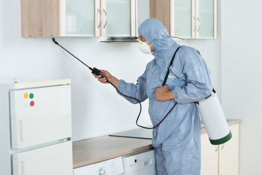 Pest Control