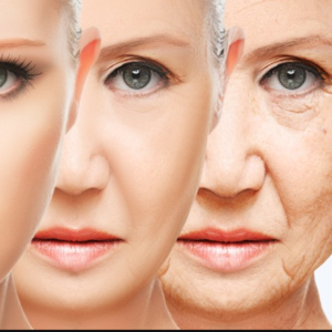 Prevent Skin Aging