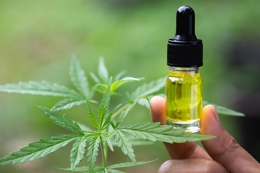 What Makes Hemp Oil Different from CBD Oil