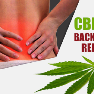 CBD for back pain