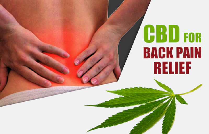 CBD for back pain