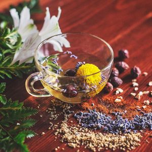 The Medicine Wheel- A Helpful Healing Tool