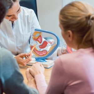 What Hormones Are Important For IVF