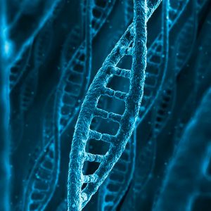Mitochondrial Donation What You Need To Know