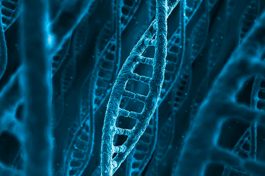 Mitochondrial Donation What You Need To Know