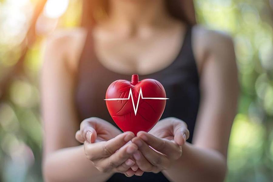 Daily Habits That Protect Your Heart and Extend Your Life
