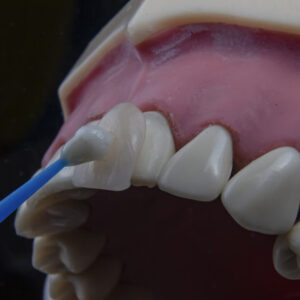 Experienced Dental Team Serving the DMV Area