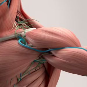 Peptides in Recovery Science What Current Research Suggests About Tissue Repair and Performance