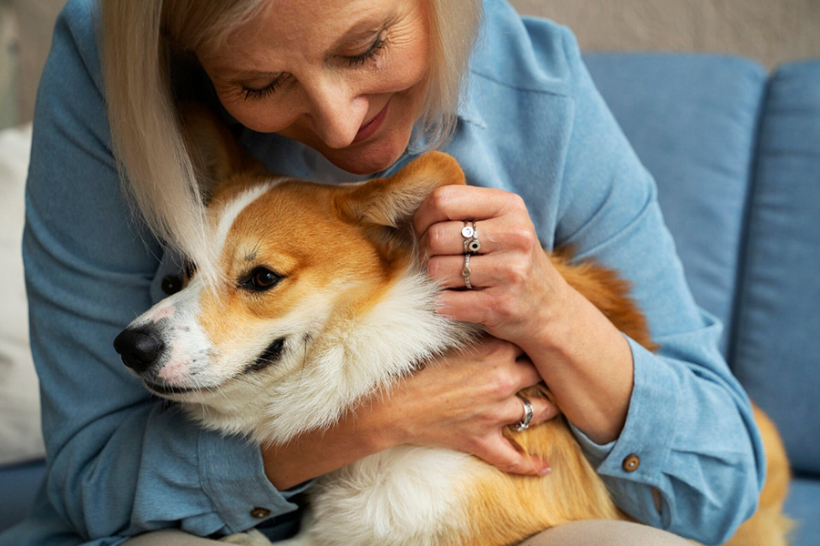Improve Mental Health with the Help of Emotional Support Animals